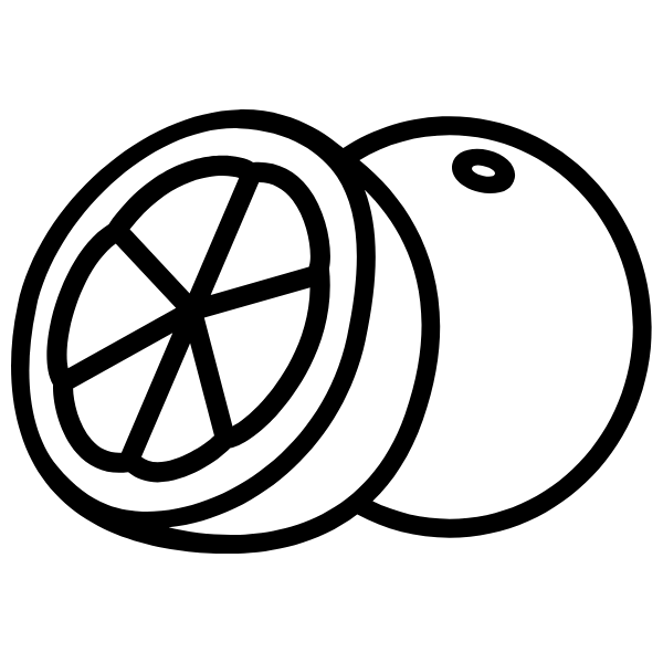 fruit orange icon