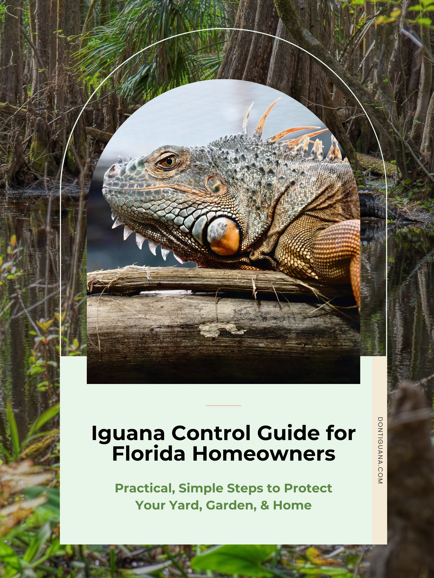 Iguana Control Guide for Florida Homeowners Cover image