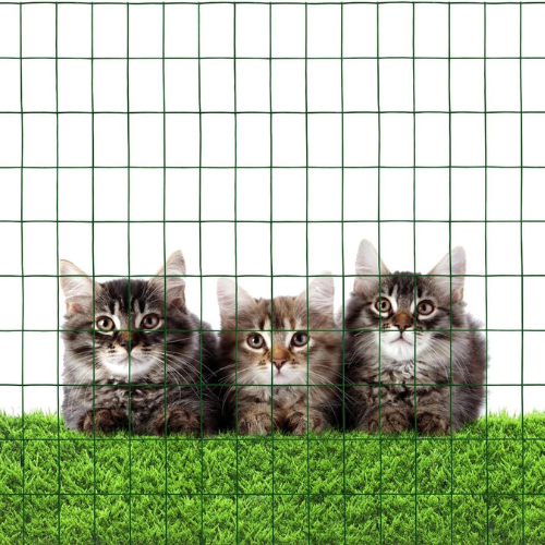 three kittens on green grass behind fence