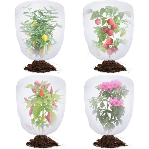 four individual small plants with nets on top of them