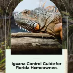 cover of paid guide for iguana control florida homeowners
