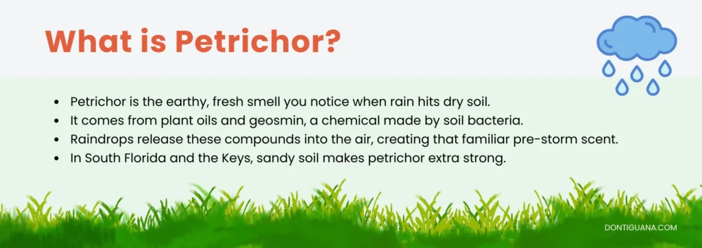definition of petrichor