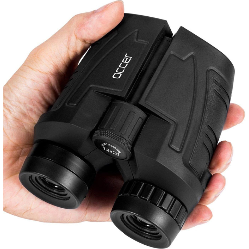 Compact binoculars held in adult's palm