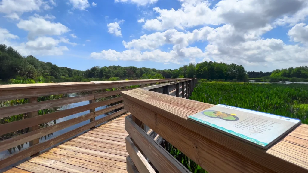 View from the boardwalk at Green Cay Wetlands and Nature Center in Boynton Beach Florida