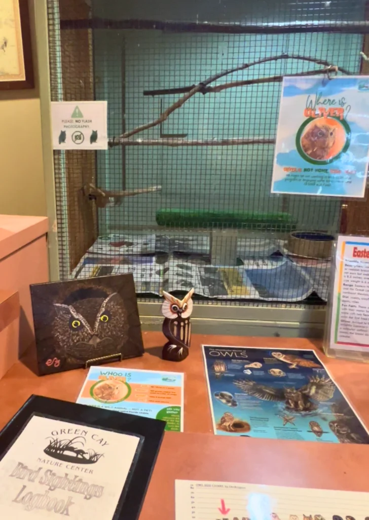 Oliver Screech Owl Cage at Green Cay Wetlands Nature Center Florida