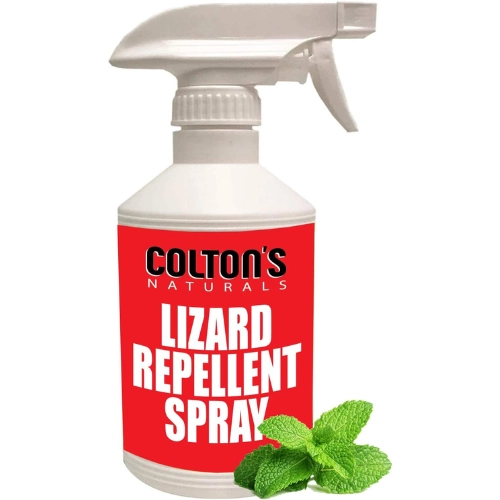 Natural, non-toxic lizard and iguana repellent for Florida pools