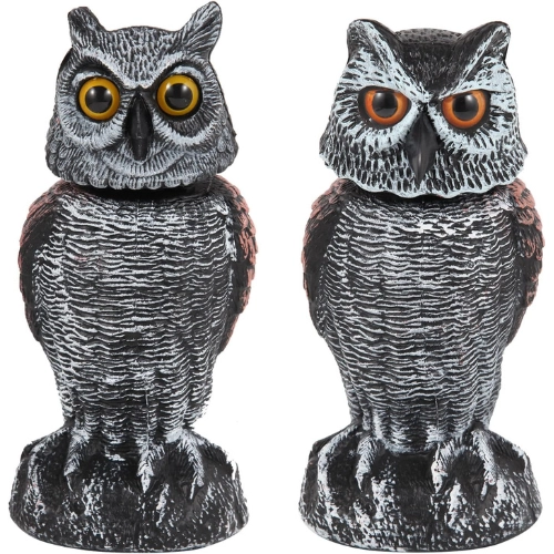 two plastic life size fake owl decoys to deter iguanas from pools and patios in Florida