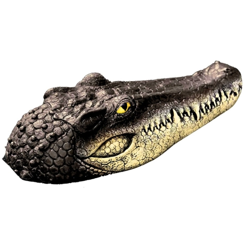 Floating alligator decoy to deter iguanas from swimming pools in Florida